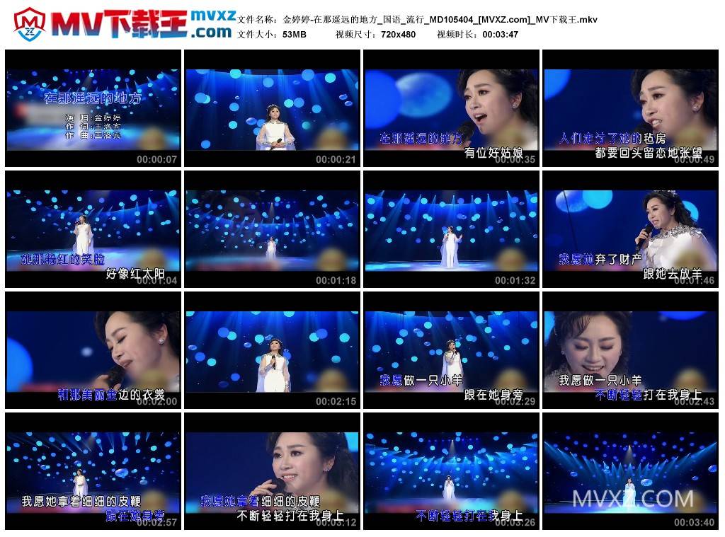 金婷婷-在那遥远的地方_国语_流行_MD105404